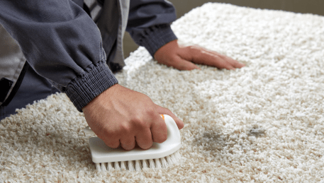 Professional Rug Cleaning Epping